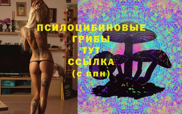 MDMA Premium VHQ Верхний Тагил