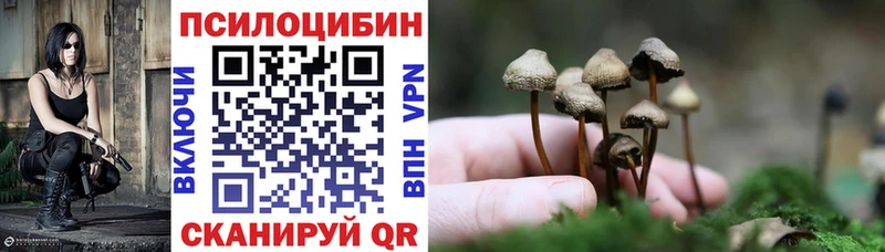 Галлюциногенные грибы мицелий  Купить где  Светлогорск 